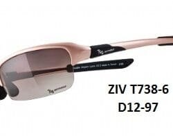 Kính 720 Armour ZIV T738